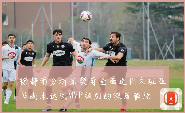 徐静雨分析东契奇全面进化文班亚马尚未达到MVP级别的深度解读