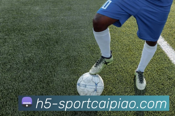 大发彩票服务体系